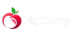 DigiBerry